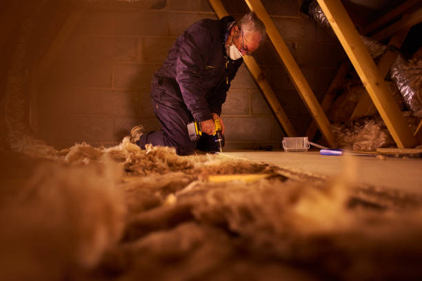 Best Insulation Maintenance and Repair in Weweantic, MA